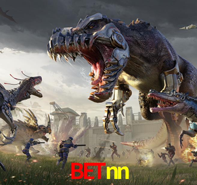 Experiência VIP betnn