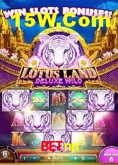 Recursos de Bônus betnn